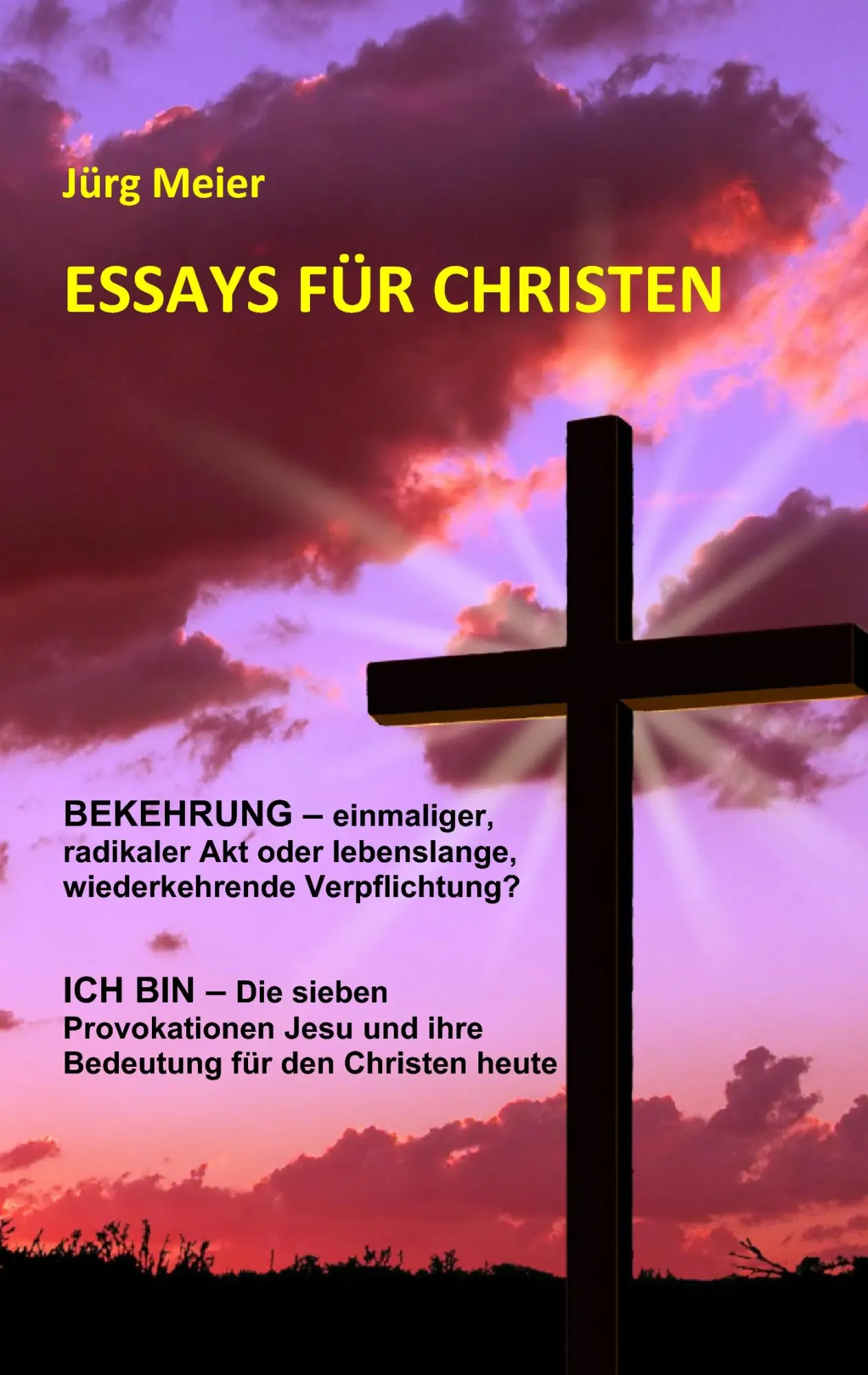 Cover: 9783842344815 | Essays für Christen | Jürg Meier | Taschenbuch | 96 S. | Deutsch