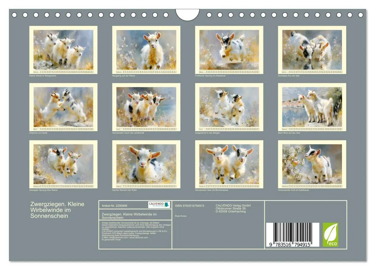 Bild: 9783516794915 | Zwergziegen. Kleine Wirbelwinde im Sonnenschein (Wandkalender 2027...