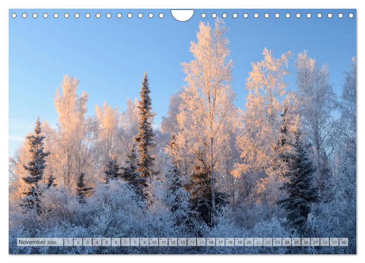 Bild: 9783516135015 | Wildes Alaska Christian Heeb (Wandkalender 2026 DIN A4 quer),...