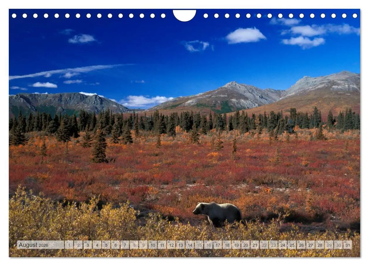 Bild: 9783516135015 | Wildes Alaska Christian Heeb (Wandkalender 2026 DIN A4 quer),...