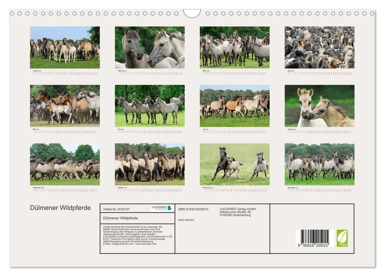 Bild: 9783516205015 | Dülmener Wildpferde (Wandkalender 2026 DIN A3 quer), CALVENDO...