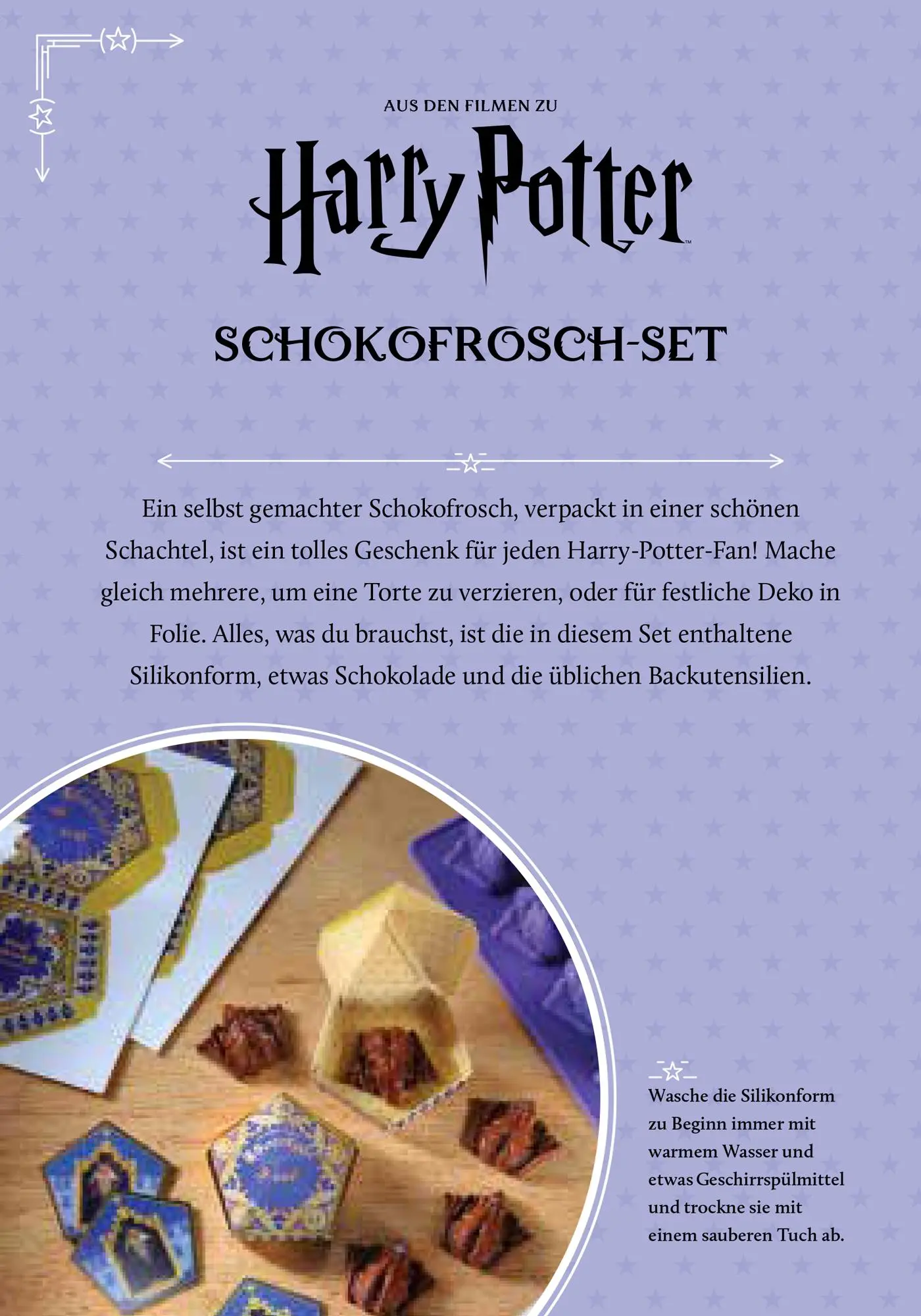 Bild: 9783833245015 | Harry Potter: Schokofrosch-Set | Panini | Taschenbuch | 12 S. | 2024