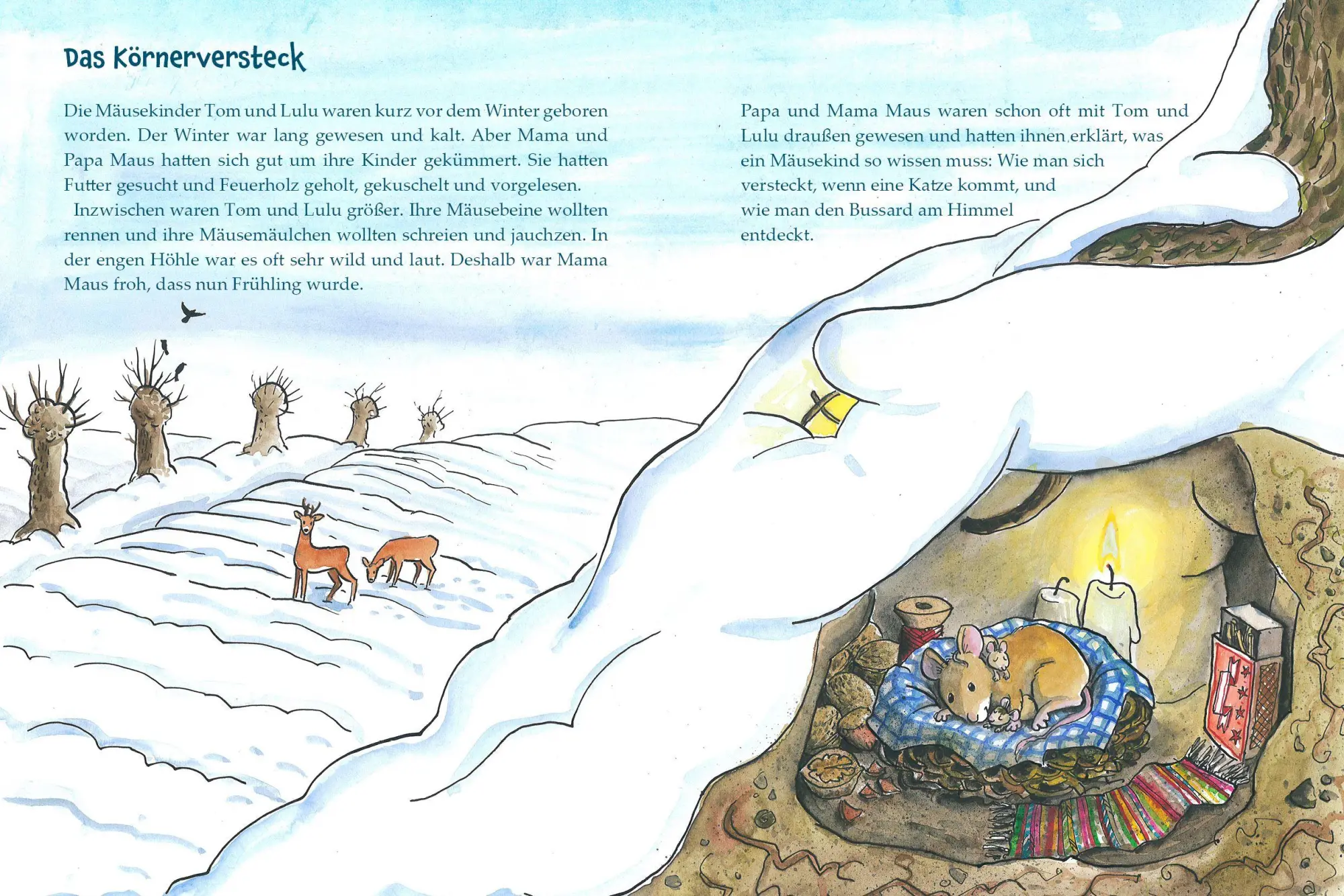 Bild: 9783963625015 | Tom und Lulu | Almut Heymann | Buch | 32 S. | Deutsch | 2026