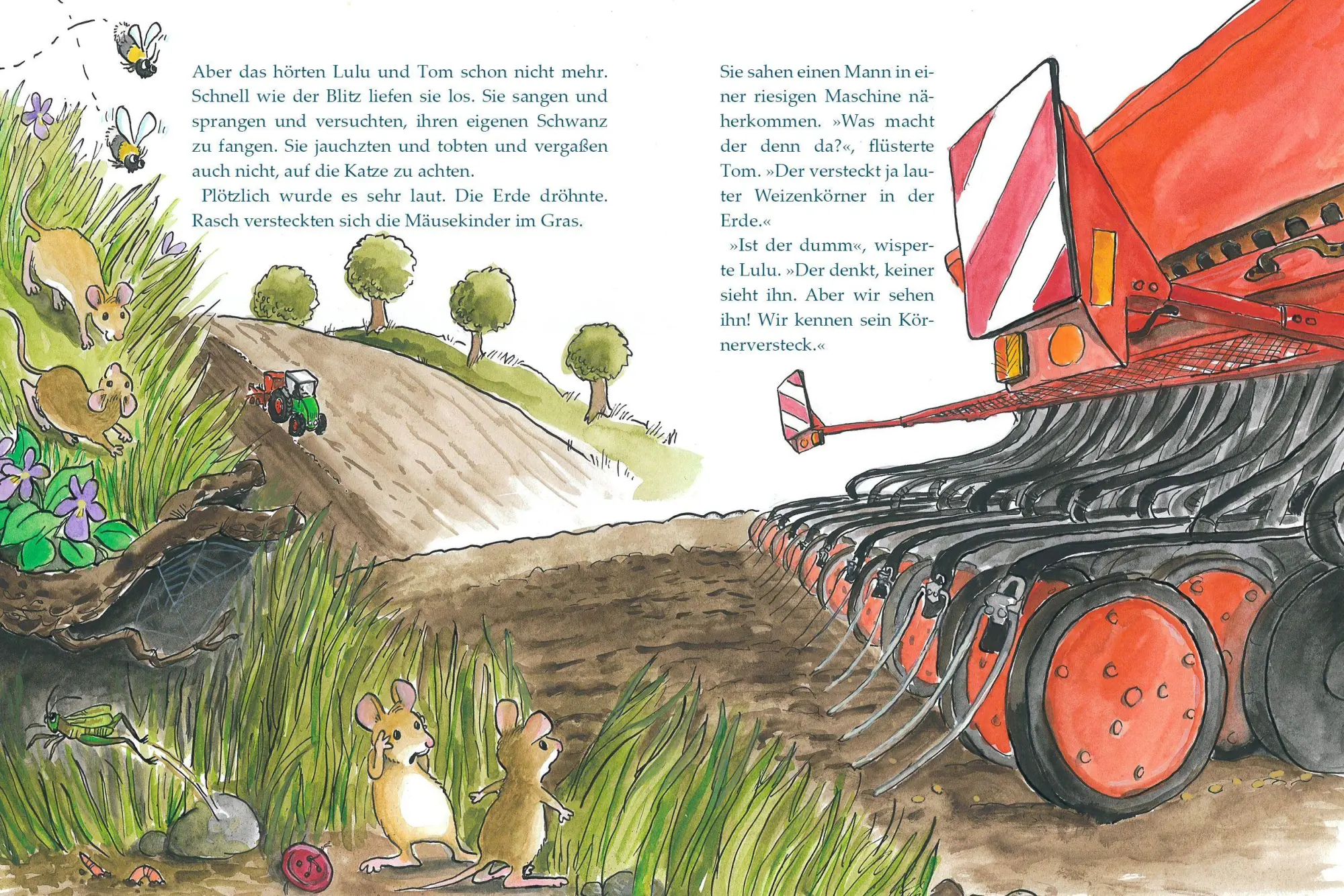 Bild: 9783963625015 | Tom und Lulu | Almut Heymann | Buch | 32 S. | Deutsch | 2026