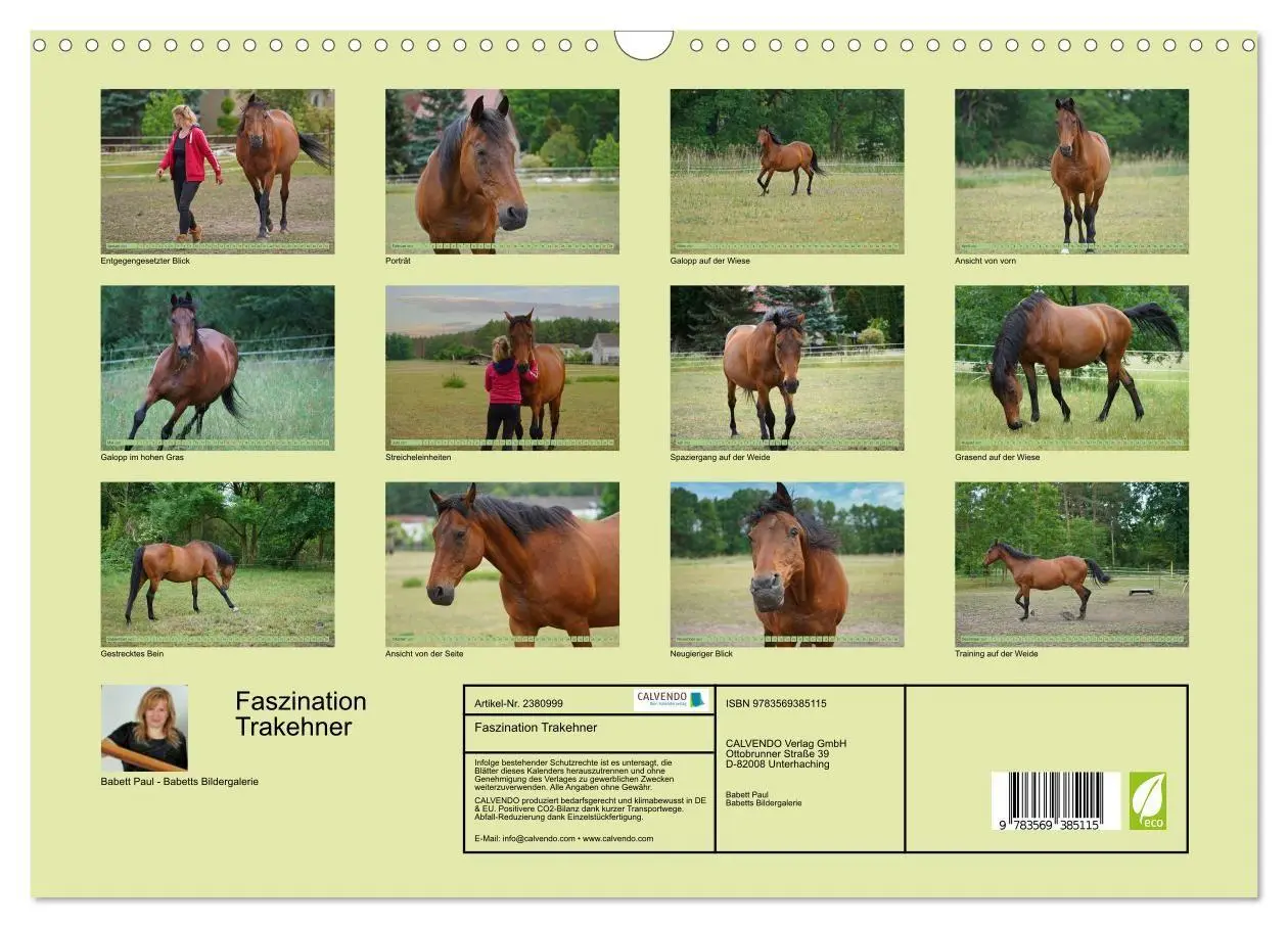 Bild: 9783569385115 | Faszination Trakehner (Wandkalender 2027 DIN A3 quer), CALVENDO...