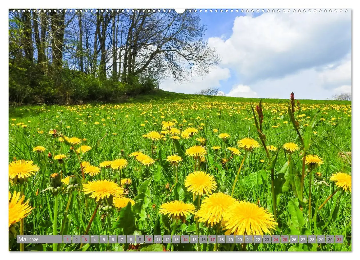 Bild: 9783457715215 | Wandern im Erzgebirge (hochwertiger Premium Wandkalender 2026 DIN...