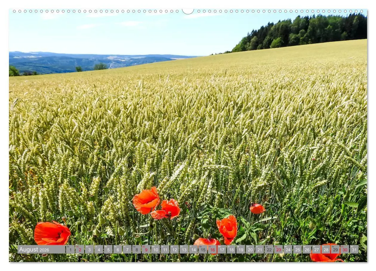 Bild: 9783457715215 | Wandern im Erzgebirge (hochwertiger Premium Wandkalender 2026 DIN...