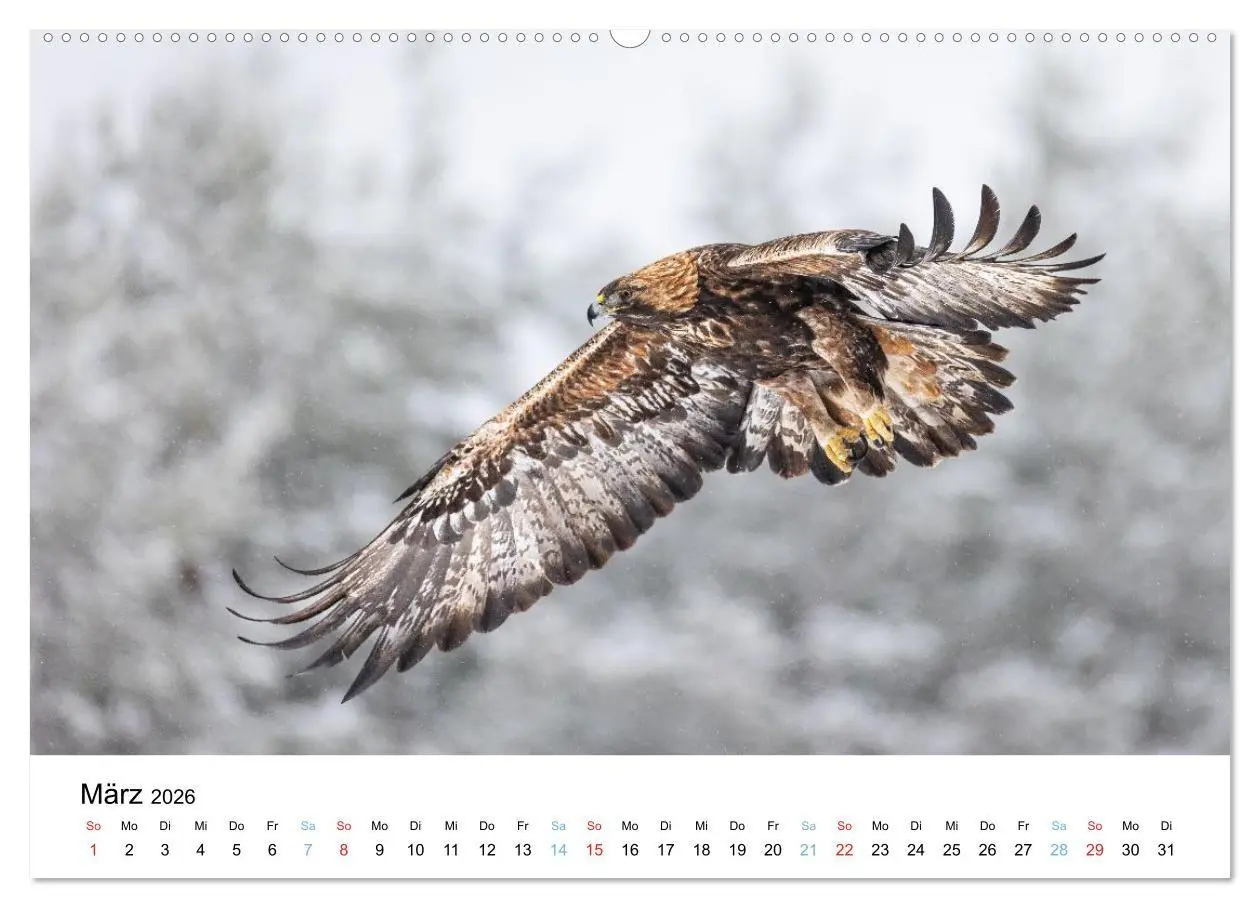 Bild: 9783516665215 | Tierwelt Skandinaviens (hochwertiger Premium Wandkalender 2026 DIN...