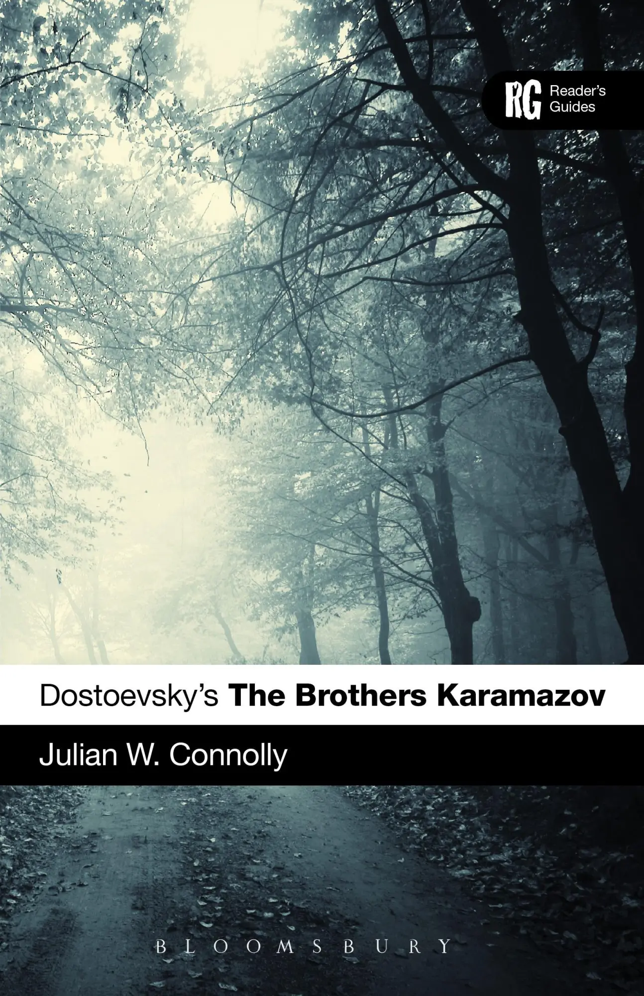 Cover: 9781441135315 | Dostoevsky's The Brothers Karamazov | Julian W Connolly | Taschenbuch