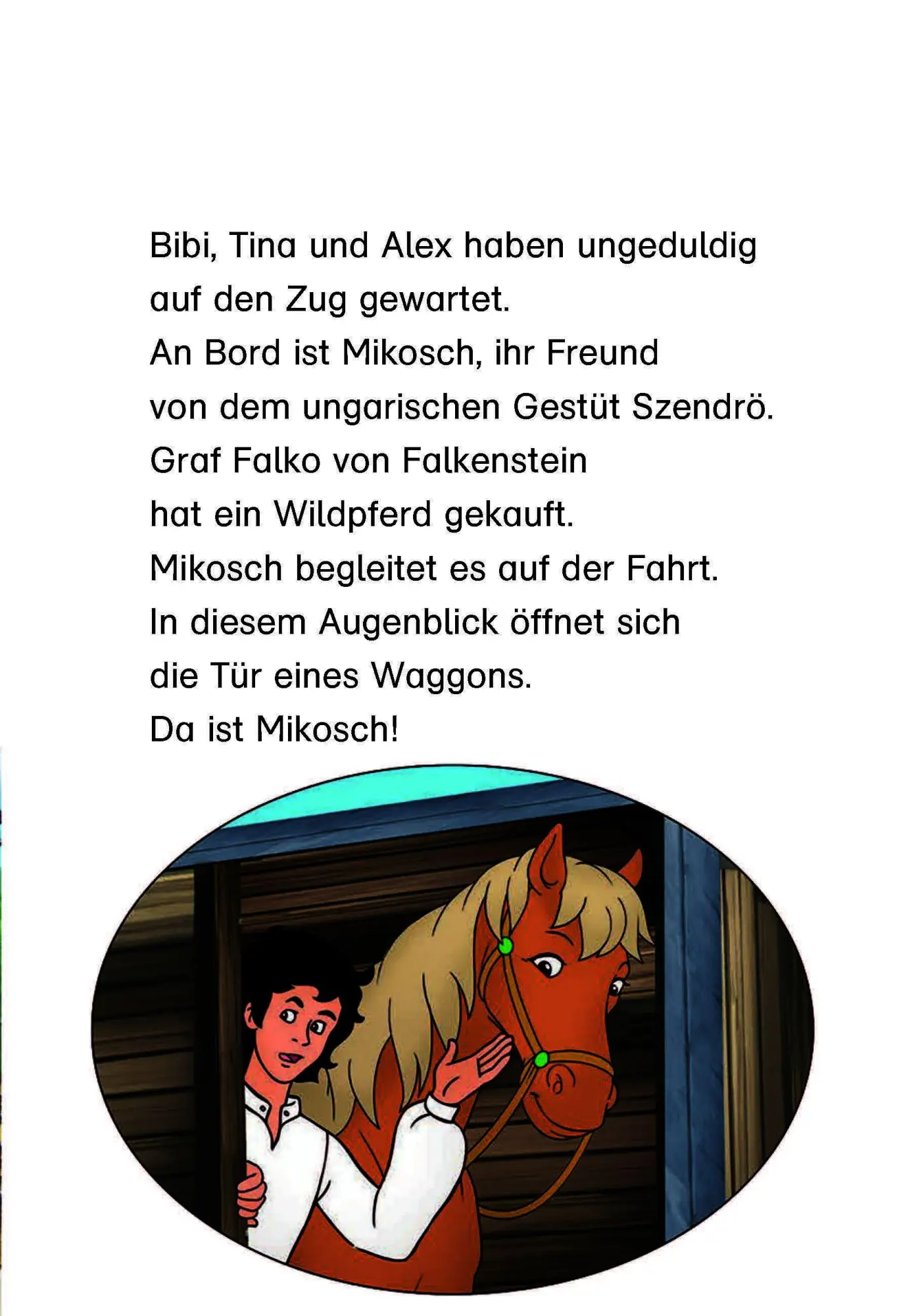 Bild: 9783129495315 | Bibi &amp; Tina: Mikosch haut ab! | Erstleser 2. Klasse | Vincent Andreas