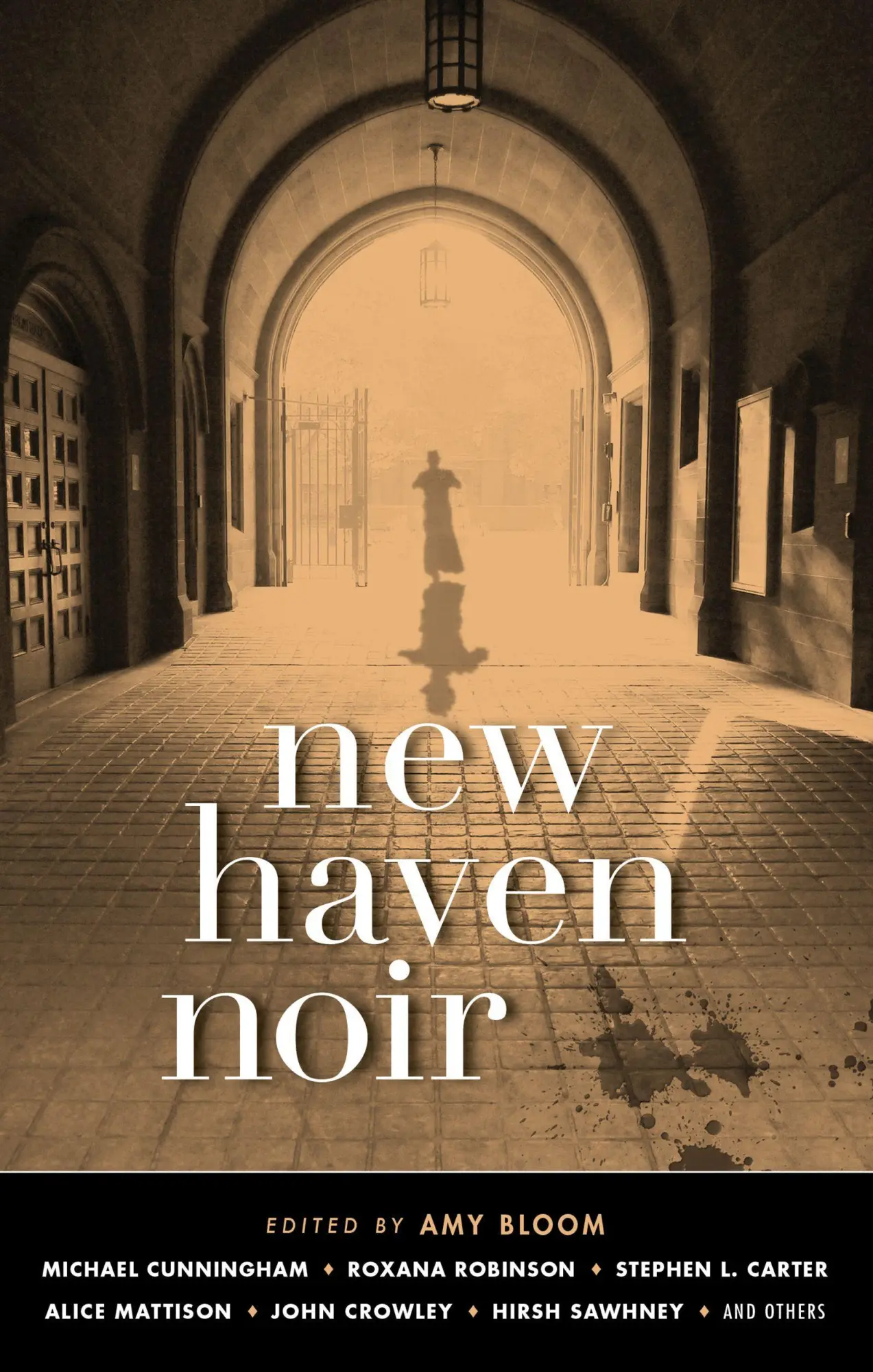 Cover: 9781617755415 | New Haven Noir | Amy Bloom | Taschenbuch | Englisch | 2017