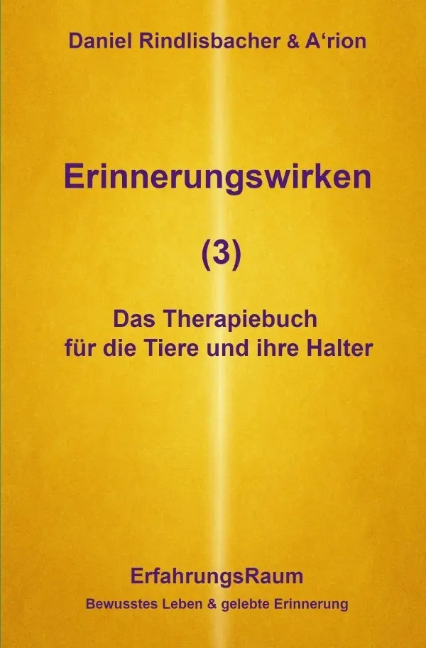 Cover: 9783565085415 | Erinnerungswirken (3) | Daniel Rindlisbacher (u. a.) | Taschenbuch