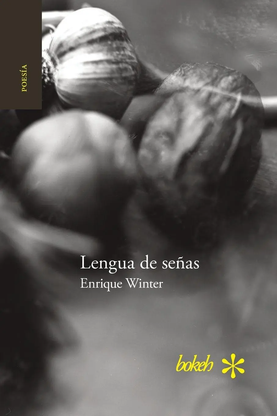 Cover: 9789491515415 | Lengua de señas | Enrique Winter | Taschenbuch | Spanisch | 2016