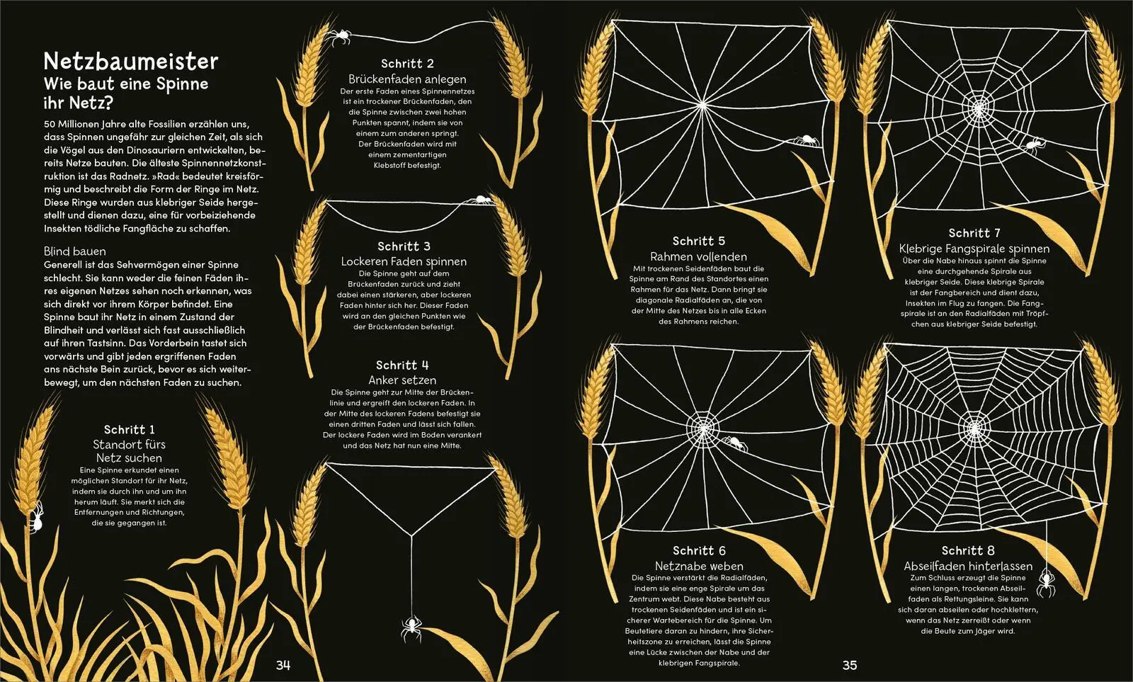 Bild: 9783845865515 | Wunderwelt der Spinnennetze | Jan Beccaloni | Buch | 48 S. | Deutsch