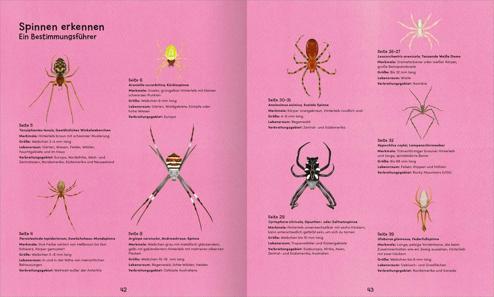 Bild: 9783845865515 | Wunderwelt der Spinnennetze | Jan Beccaloni | Buch | 48 S. | Deutsch