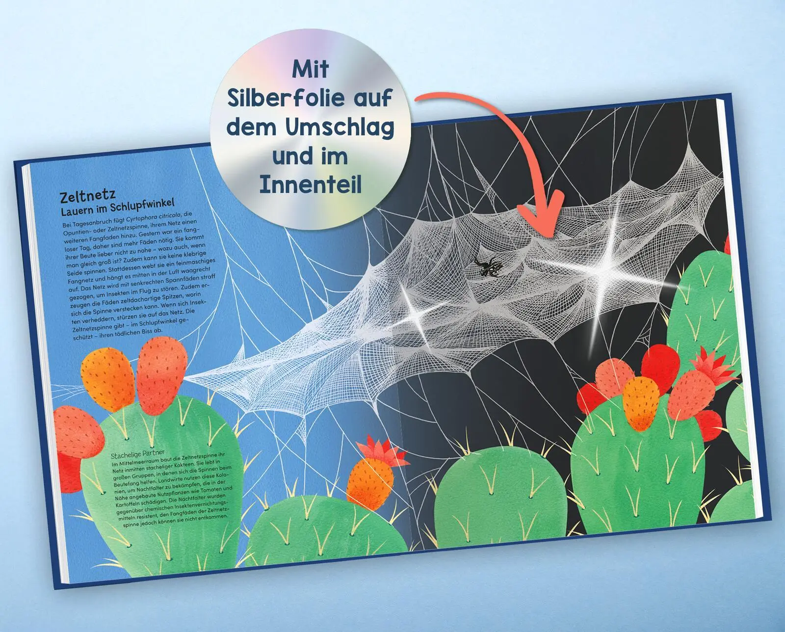 Bild: 9783845865515 | Wunderwelt der Spinnennetze | Jan Beccaloni | Buch | 48 S. | Deutsch