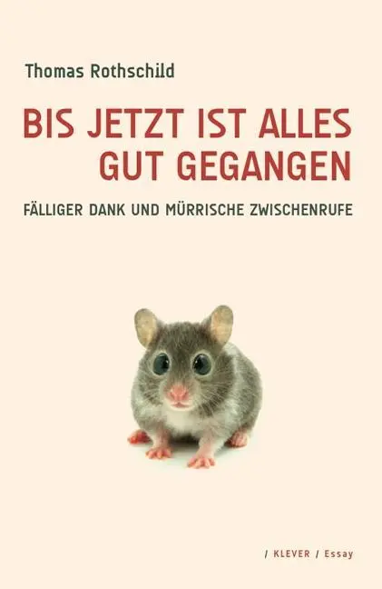 Cover: 9783902665515 | Bis jetzt ist alles gut gegangen | Thomas Rothschild | Taschenbuch