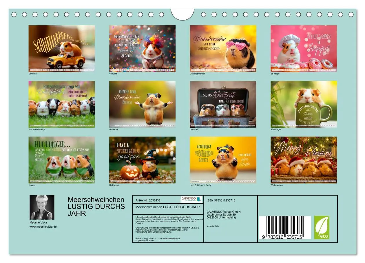 Bild: 9783516235715 | Meerschweinchen LUSTIG DURCHS JAHR (Wandkalender 2026 DIN A4 quer),...