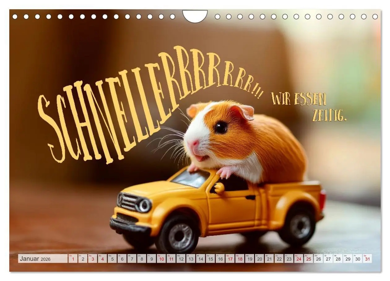 Bild: 9783516235715 | Meerschweinchen LUSTIG DURCHS JAHR (Wandkalender 2026 DIN A4 quer),...