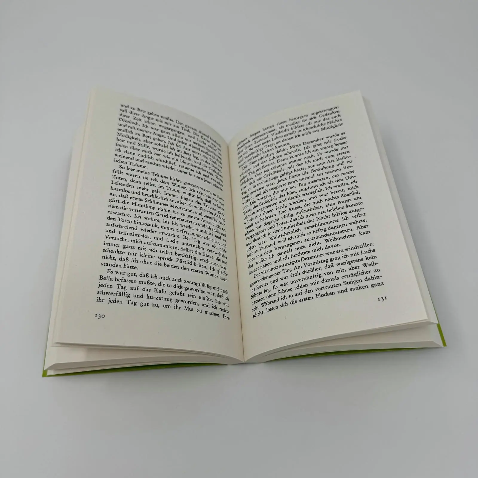 Bild: 9783548605715 | Die Wand | Marlen Haushofer | Taschenbuch | List bei Ullstein | 288 S.
