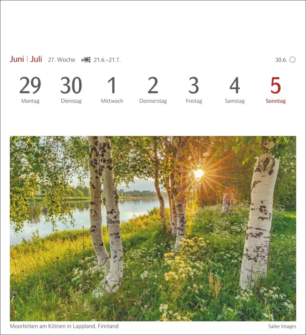 Bild: 9783840035715 | Bäume Postkartenkalender 2026 - Wochenkalender mit 53 Postkarten