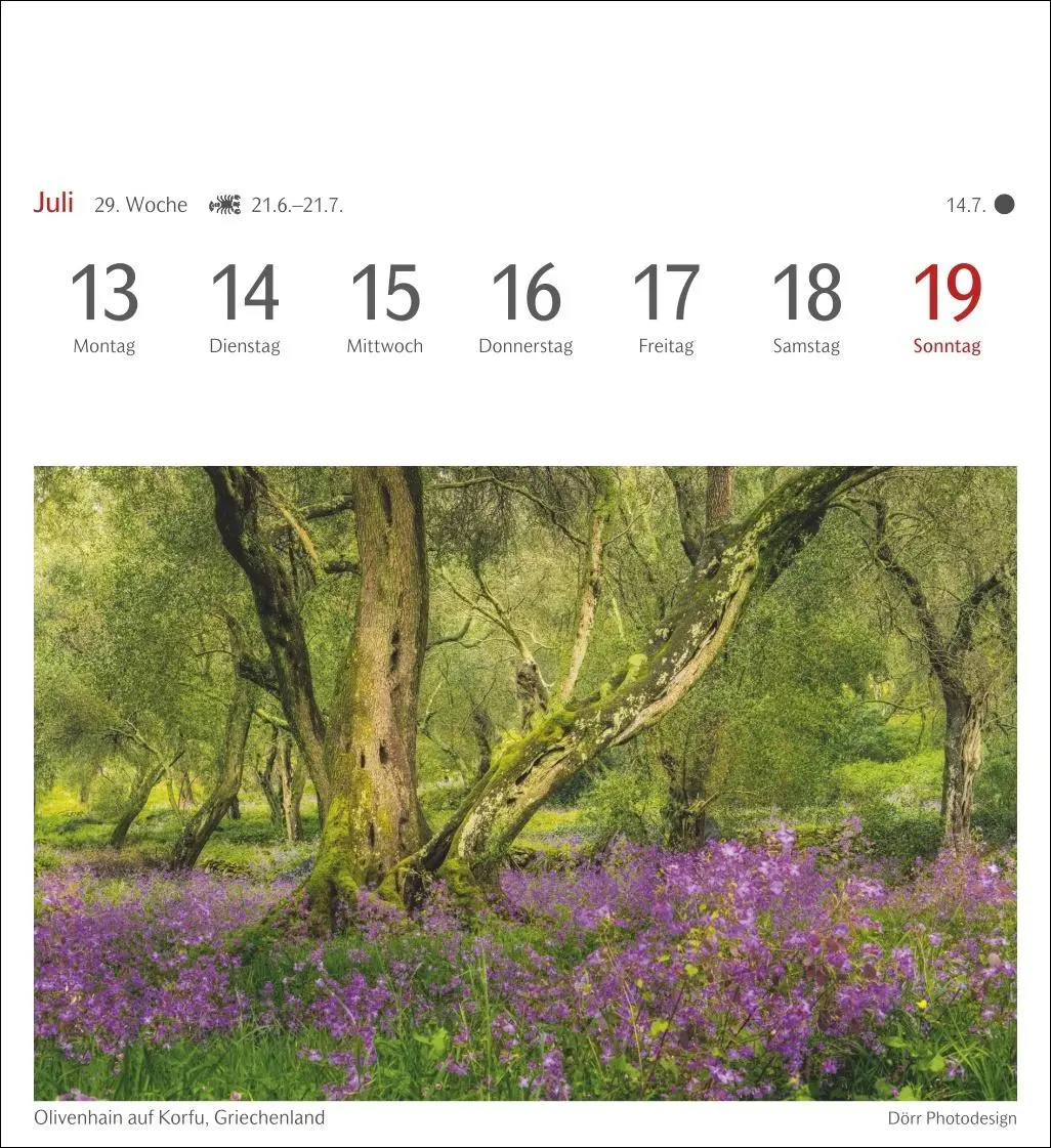 Bild: 9783840035715 | Bäume Postkartenkalender 2026 - Wochenkalender mit 53 Postkarten