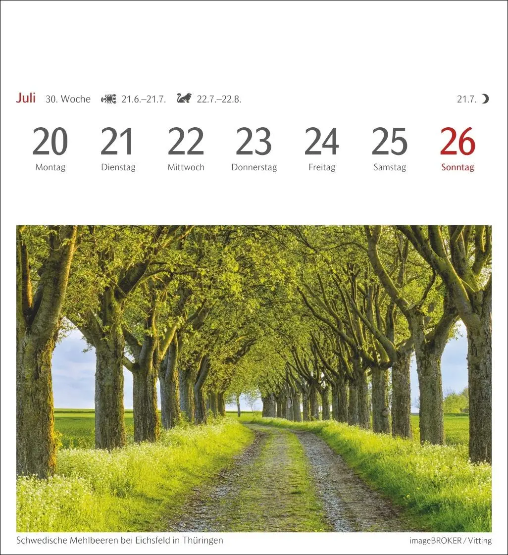 Bild: 9783840035715 | Bäume Postkartenkalender 2026 - Wochenkalender mit 53 Postkarten