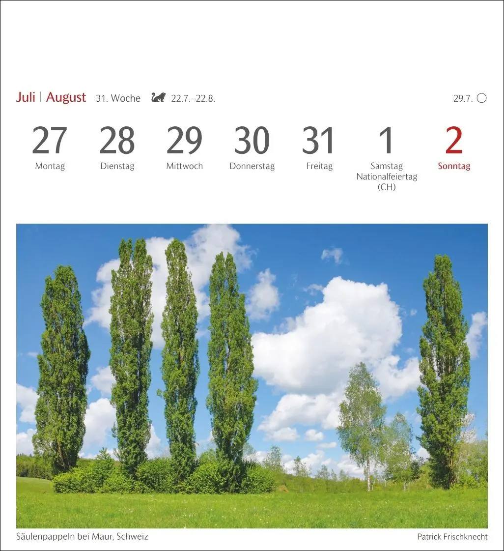 Bild: 9783840035715 | Bäume Postkartenkalender 2026 - Wochenkalender mit 53 Postkarten