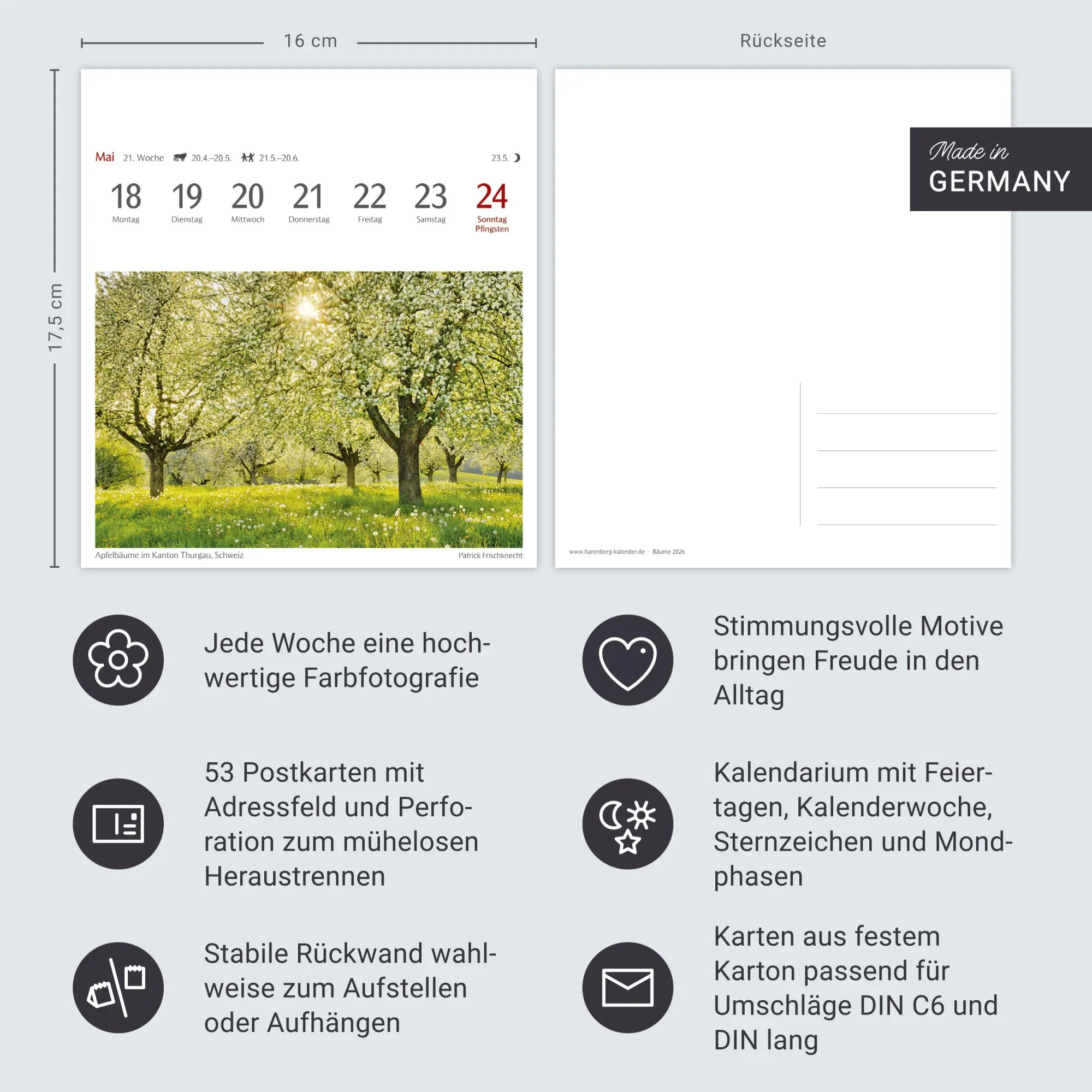 Bild: 9783840035715 | Bäume Postkartenkalender 2026 - Wochenkalender mit 53 Postkarten