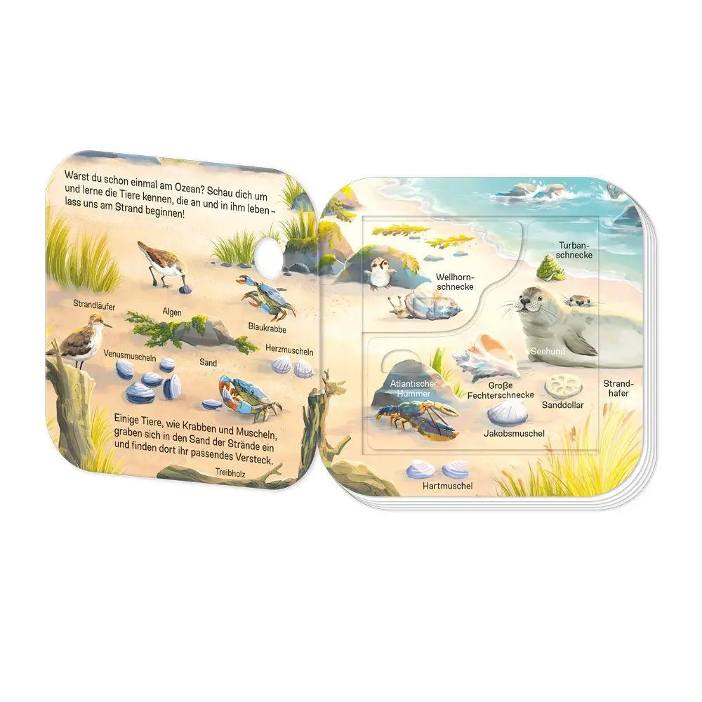 Bild: 9783988025715 | TRÖTSCH - Pappenbuch mit Klappen Mein erstes Klappenbuch Tiere im...
