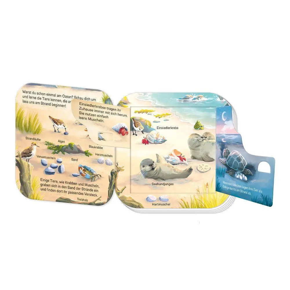 Bild: 9783988025715 | TRÖTSCH - Pappenbuch mit Klappen Mein erstes Klappenbuch Tiere im...