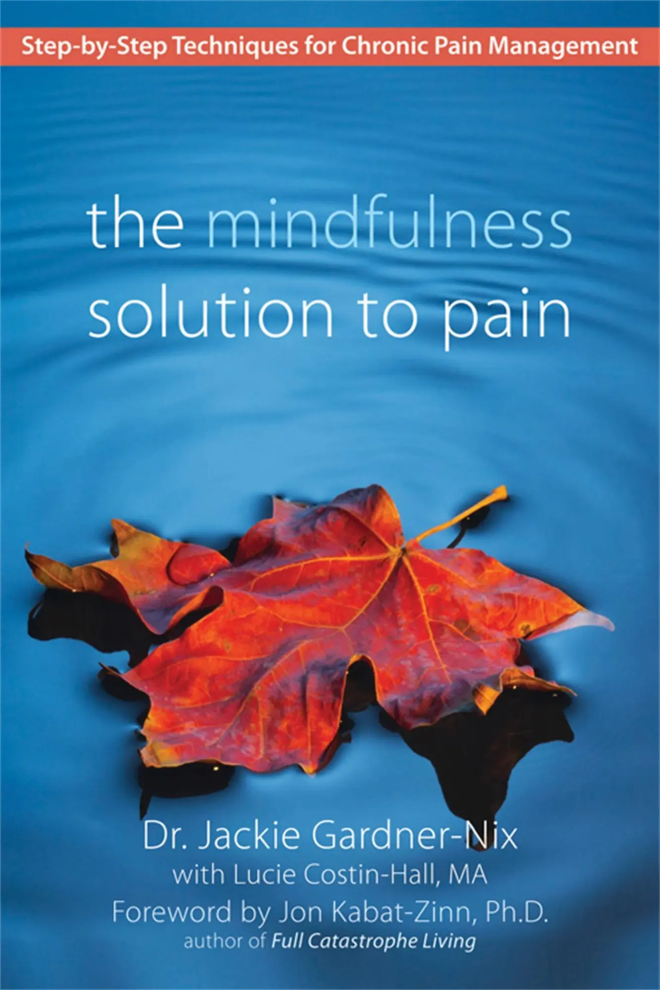 Cover: 9781572245815 | The Mindfulness Solution to Pain | Gardner-Nix | Taschenbuch | 2009