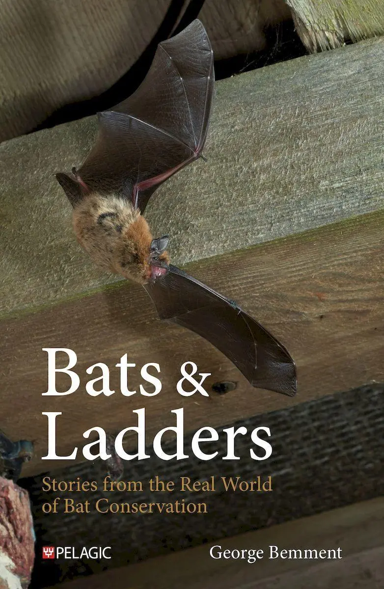 Cover: 9781784275815 | Bats &amp; Ladders | Stories from the Real World of Bat Conservation