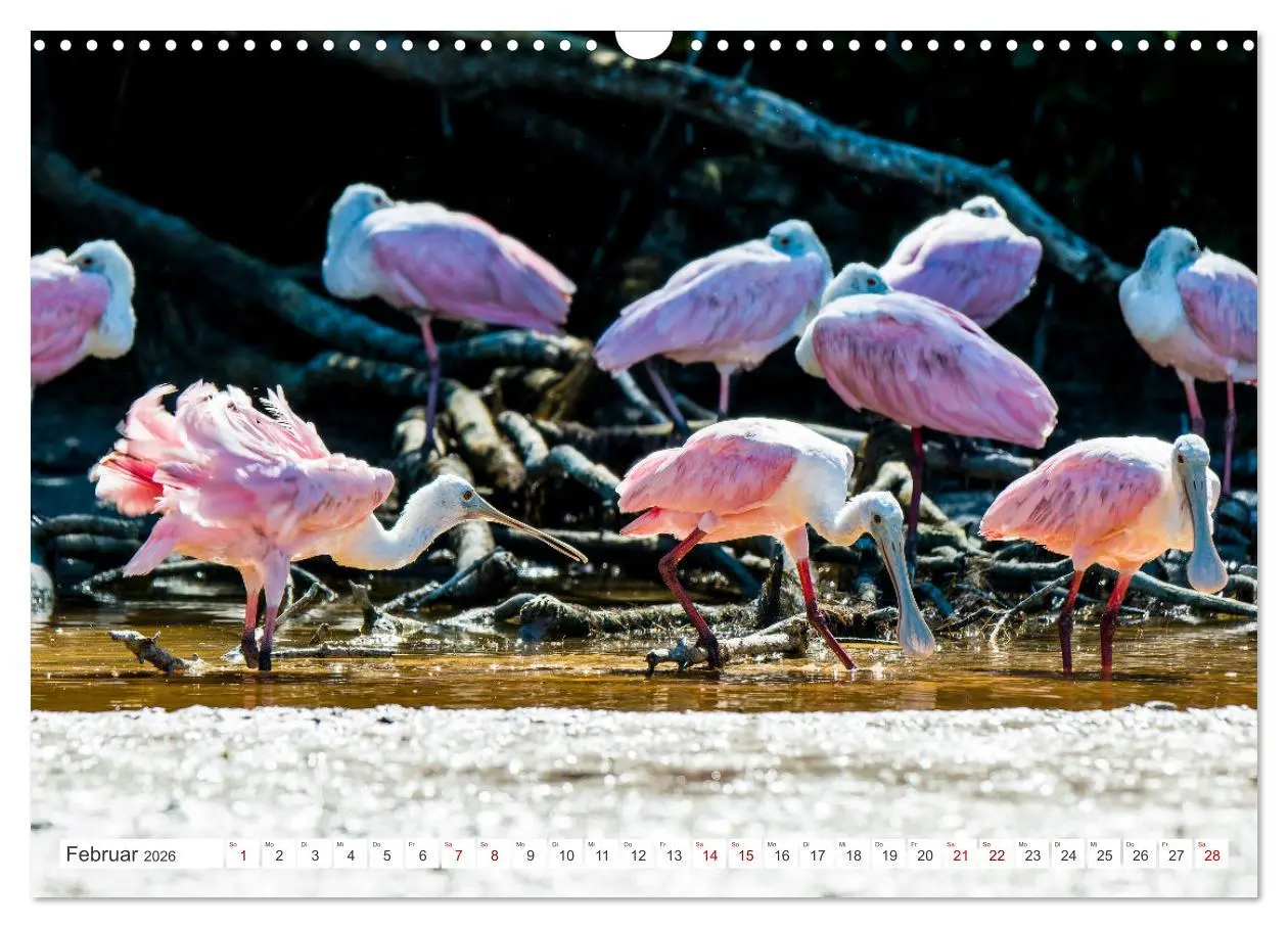 Bild: 9783457515815 | Unterwegs auf Yucatan Mexiko (Wandkalender 2026 DIN A3 quer),...
