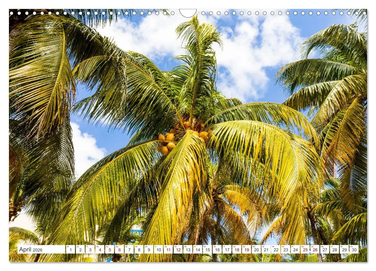 Bild: 9783457515815 | Unterwegs auf Yucatan Mexiko (Wandkalender 2026 DIN A3 quer),...