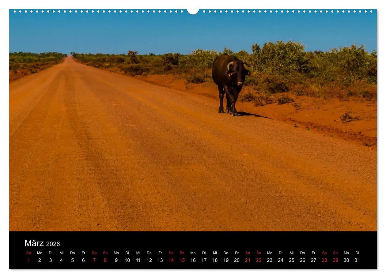 Bild: 9783516155815 | Australien - Der Westen (Wandkalender 2026 DIN A2 quer), CALVENDO...