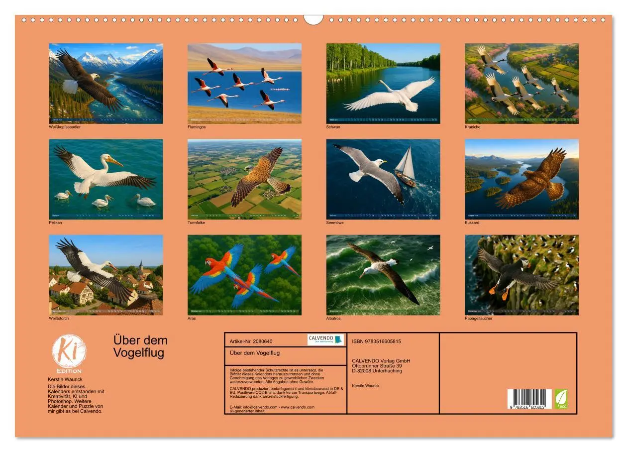 Bild: 9783516605815 | Über dem Vogelflug (Wandkalender 2026 DIN A2 quer), CALVENDO...