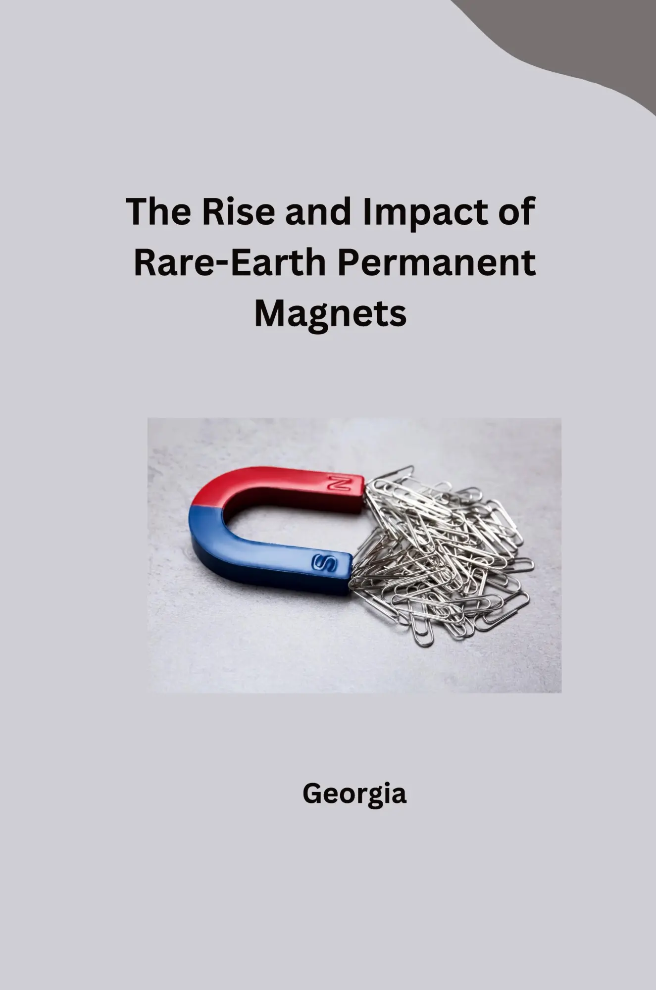 The Rise and Impact of Rare-Earth Permanent Magnets - Georgia Kartoniert (TB)