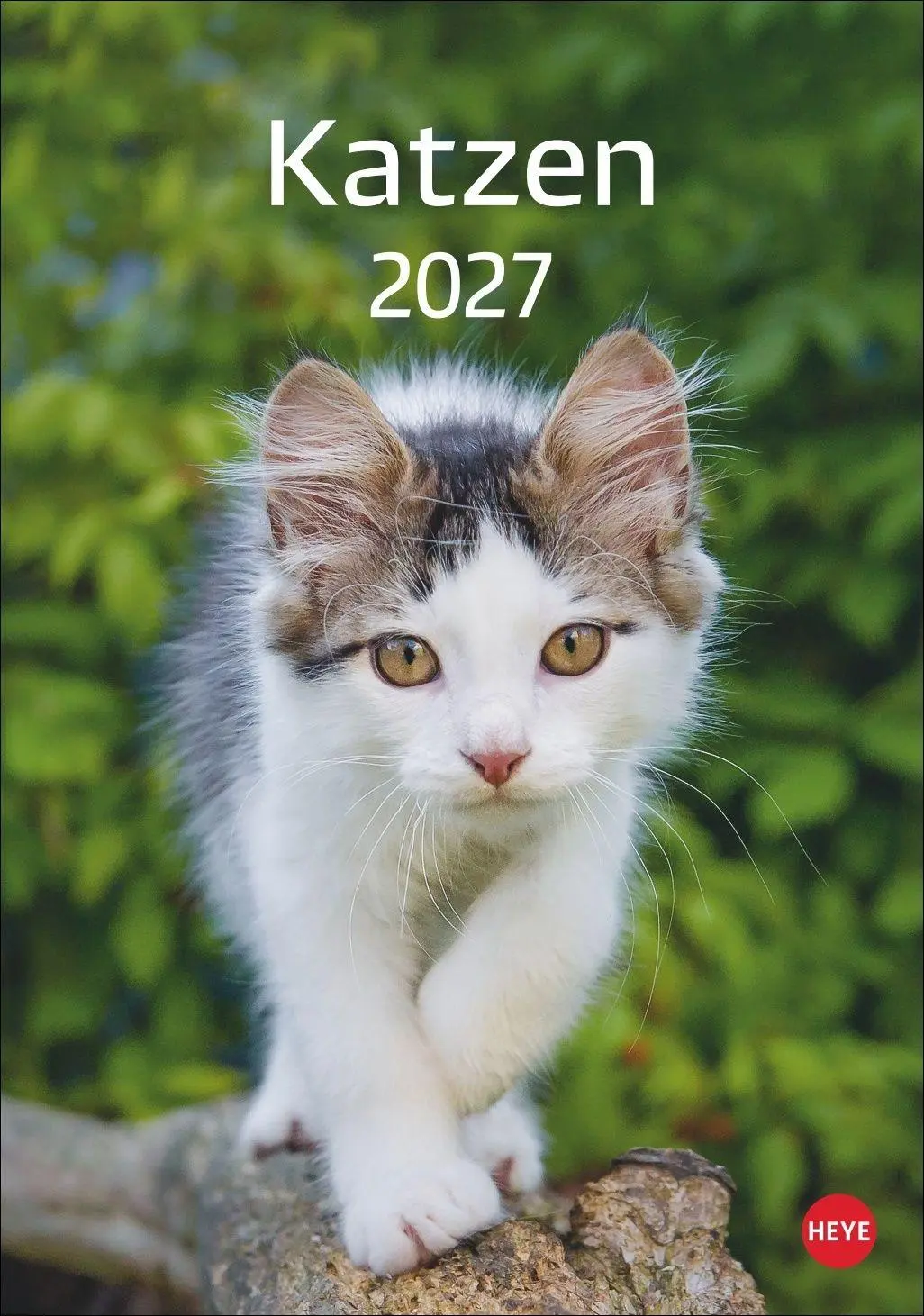 Cover: 9783756415915 | Katzen Kalender 2027 | Heye | Kalender | Spiralbindung | 13 S. | 2027