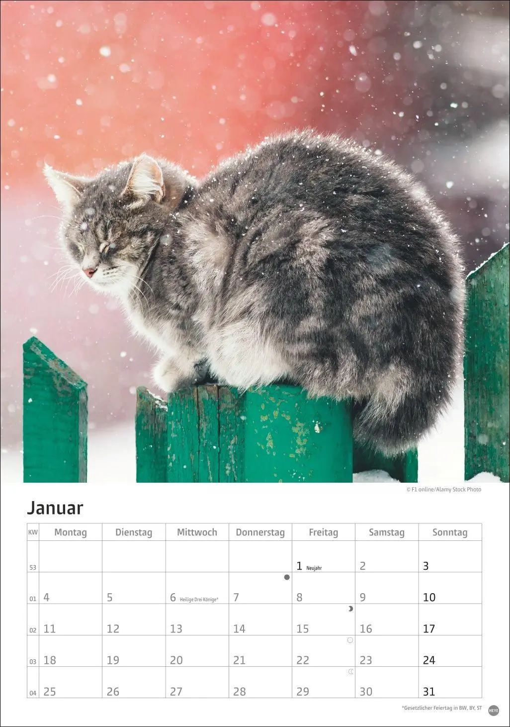 Bild: 9783756415915 | Katzen Kalender 2027 | Heye | Kalender | Spiralbindung | 13 S. | 2027