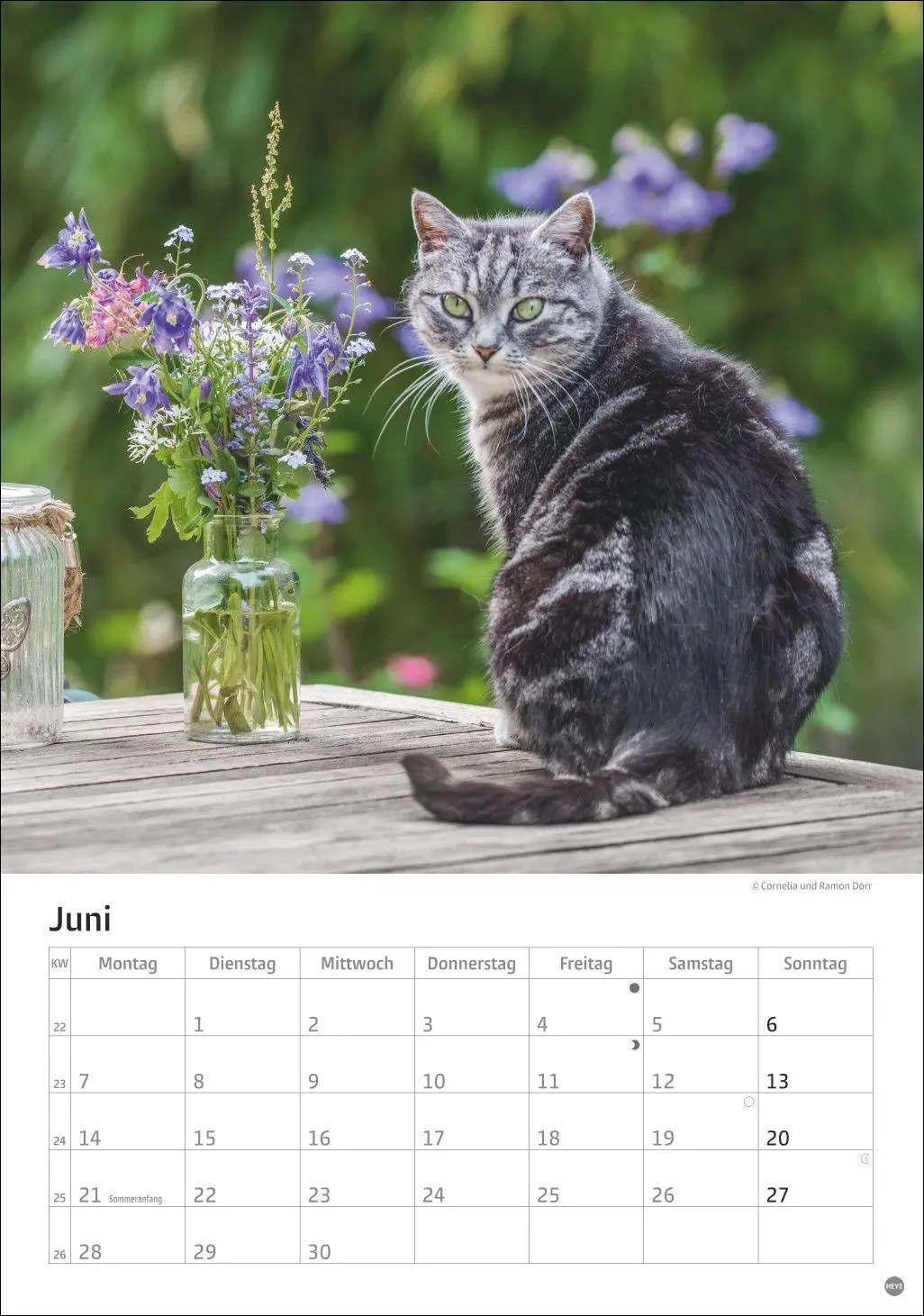 Bild: 9783756415915 | Katzen Kalender 2027 | Heye | Kalender | Spiralbindung | 13 S. | 2027