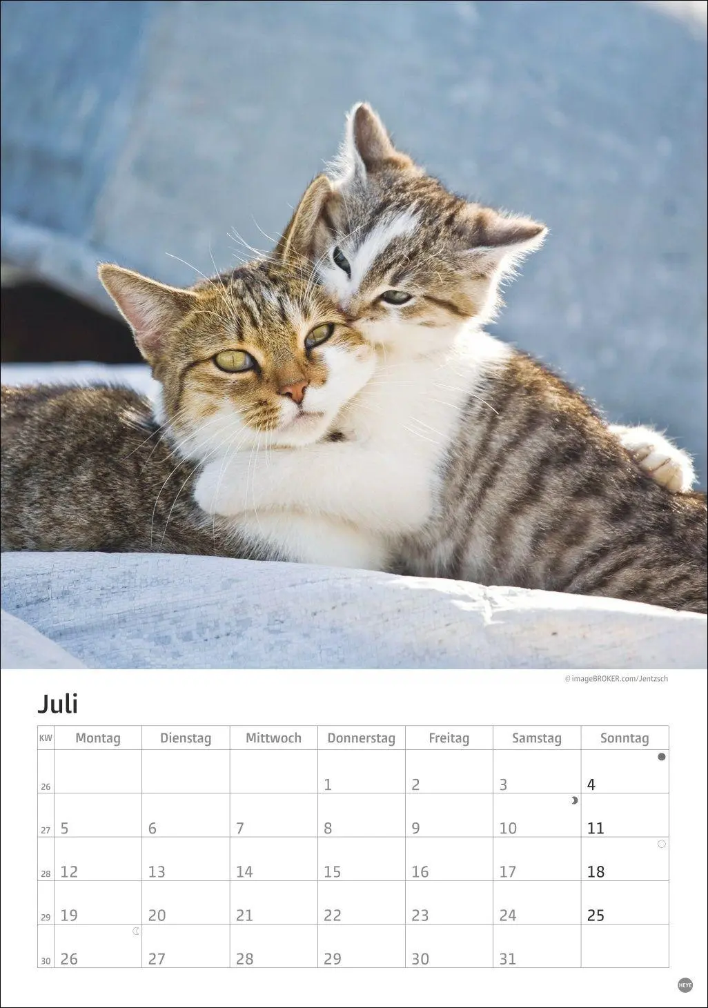Bild: 9783756415915 | Katzen Kalender 2027 | Heye | Kalender | Spiralbindung | 13 S. | 2027