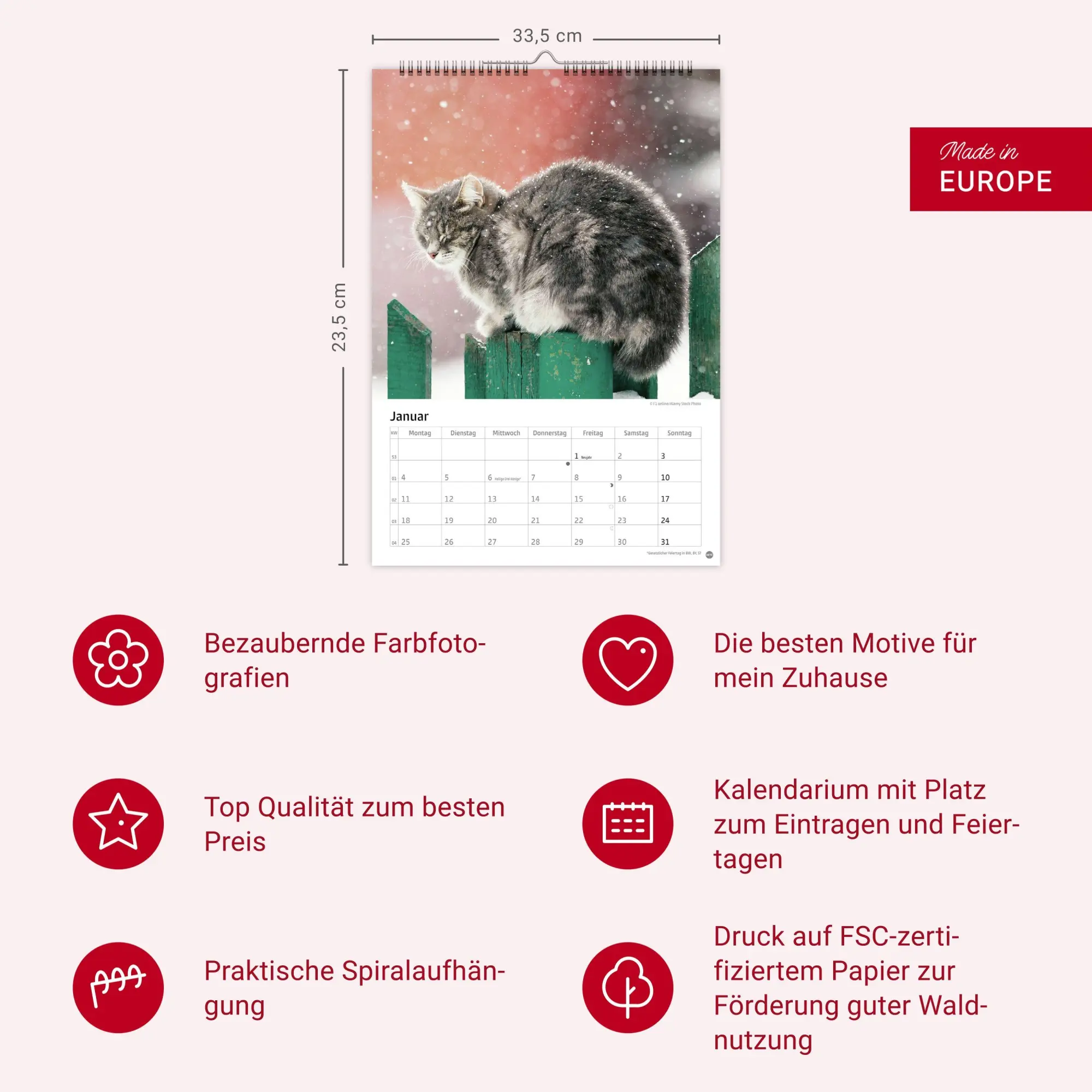 Bild: 9783756415915 | Katzen Kalender 2027 | Heye | Kalender | Spiralbindung | 13 S. | 2027