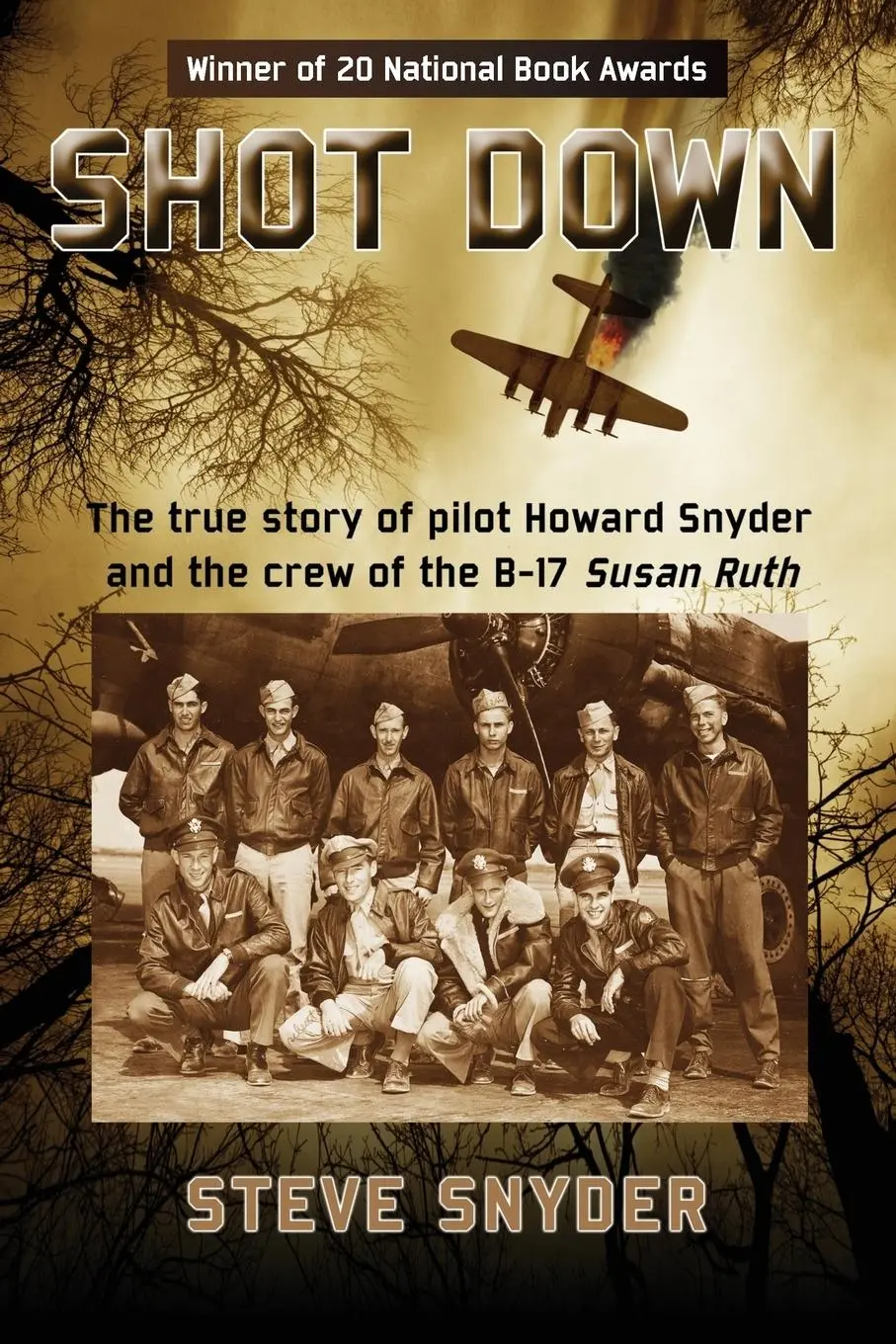 Cover: 9780986076015 | SHOT DOWN | Steve Snyder | Taschenbuch | Englisch | 2017