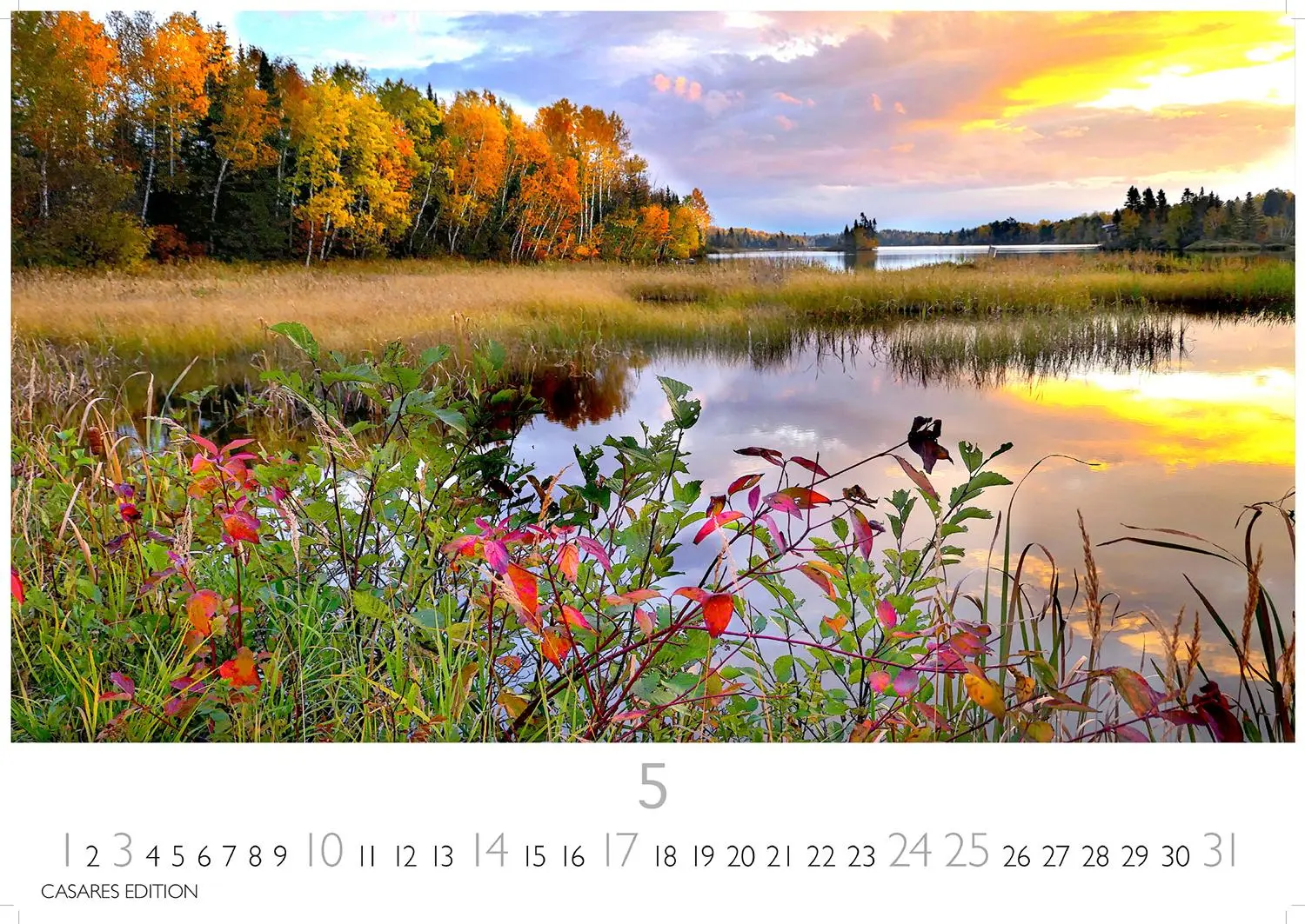 Bild: 9781835246115 | Indian Summer 2026 S 24x35cm | Kalender | 14 S. | Deutsch | 2026