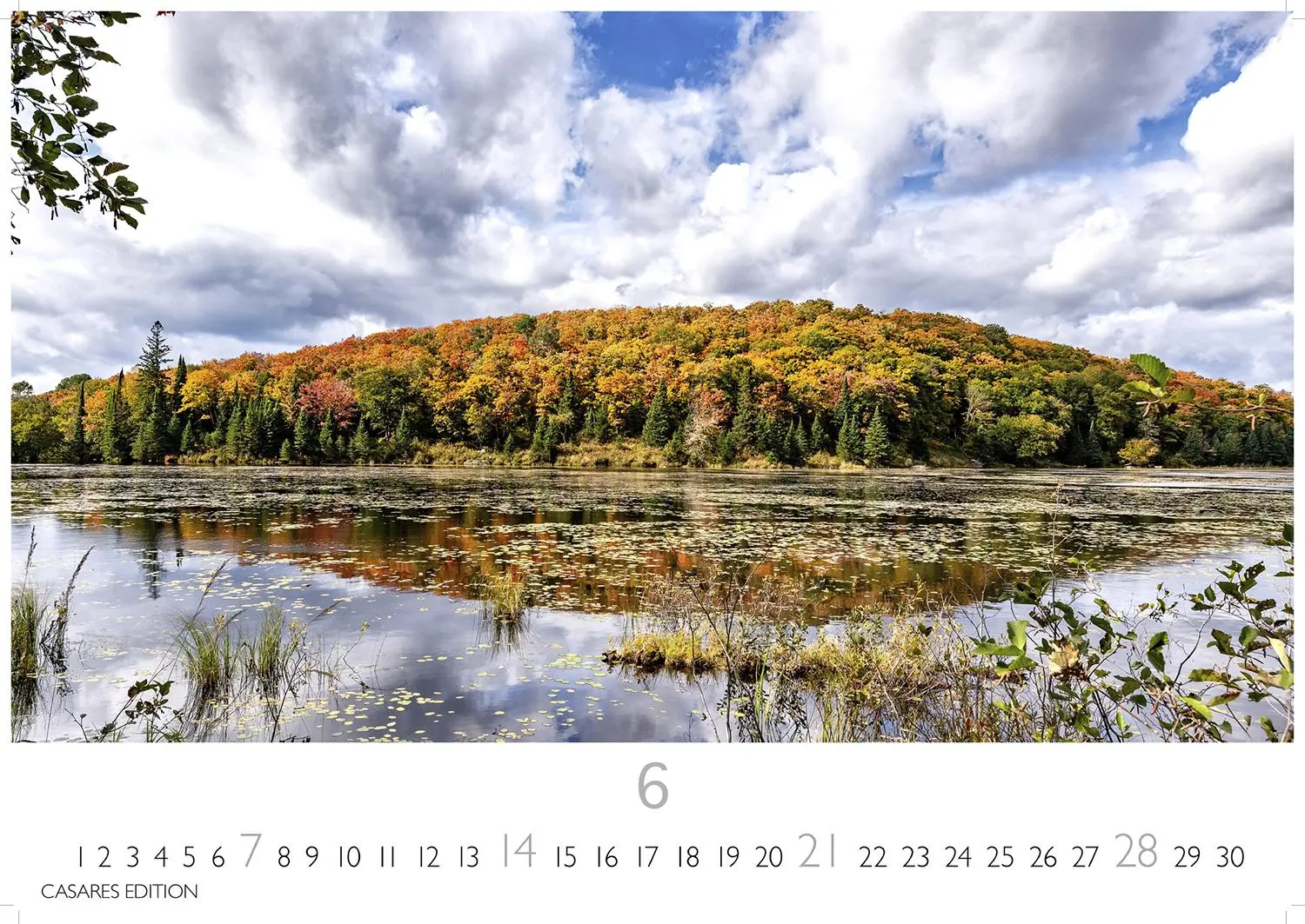 Bild: 9781835246115 | Indian Summer 2026 S 24x35cm | Kalender | 14 S. | Deutsch | 2026