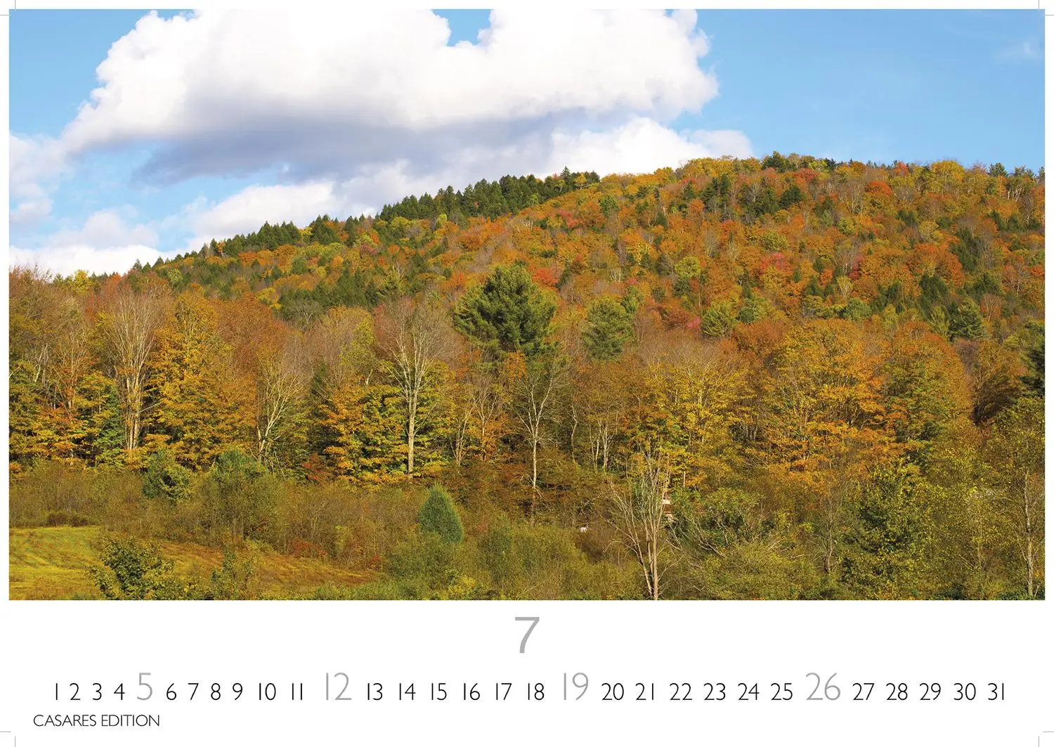 Bild: 9781835246115 | Indian Summer 2026 S 24x35cm | Kalender | 14 S. | Deutsch | 2026