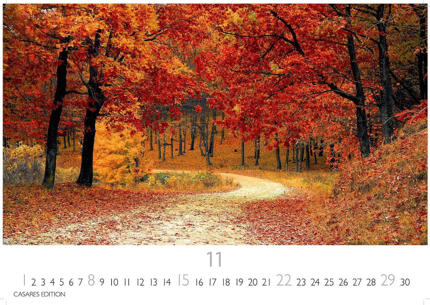 Bild: 9781835246115 | Indian Summer 2026 S 24x35cm | Kalender | 14 S. | Deutsch | 2026
