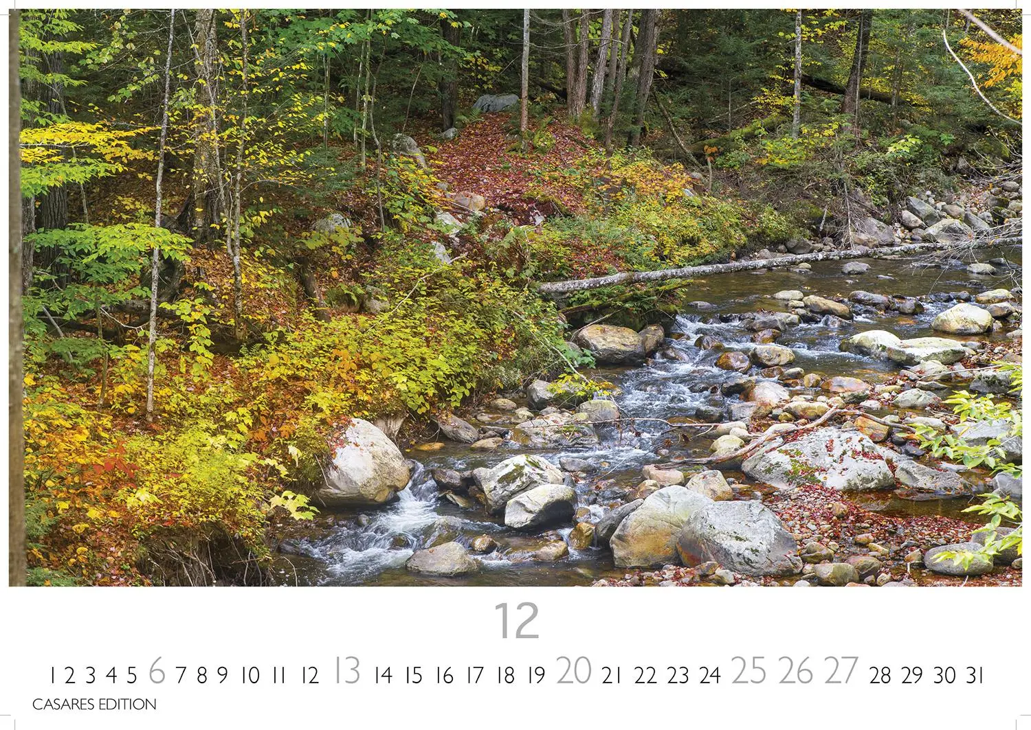Bild: 9781835246115 | Indian Summer 2026 S 24x35cm | Kalender | 14 S. | Deutsch | 2026