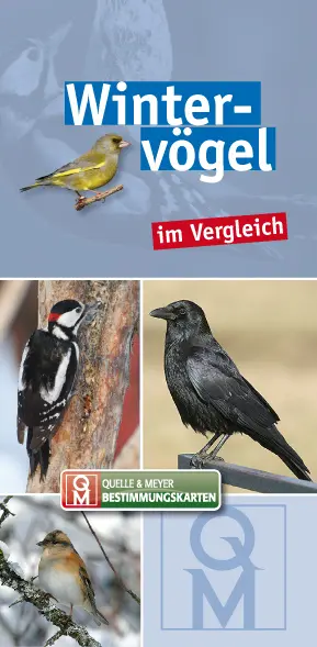 Cover: 9783494016115 | Wintervögel im Vergleich | Box | Lackierte Karten im Leporellofalz